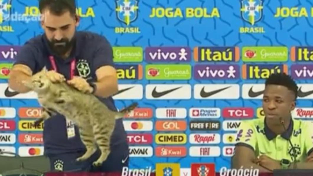 巴西新聞官粗暴扔貓惹議。（圖／翻攝自推特＠nexbola）