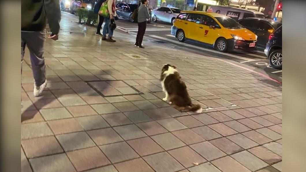 飼主把狗丟路邊喊「在訓練」。（圖／翻攝自中山大小事臉書）