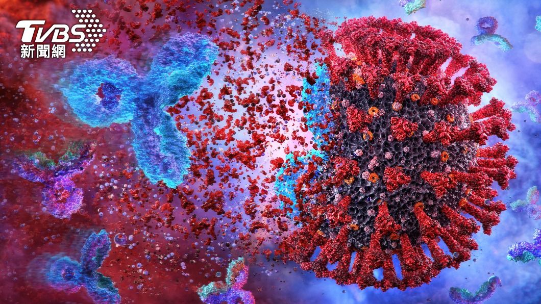美國研究發現有效殺死新冠病毒的超級抗體。（示意圖／Shutterstock達志影像）
