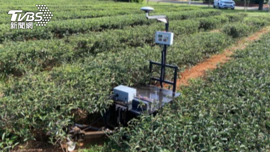 行政院農業委員會茶業改良場開發「茶園智慧除草機器人」。（圖／中央社）