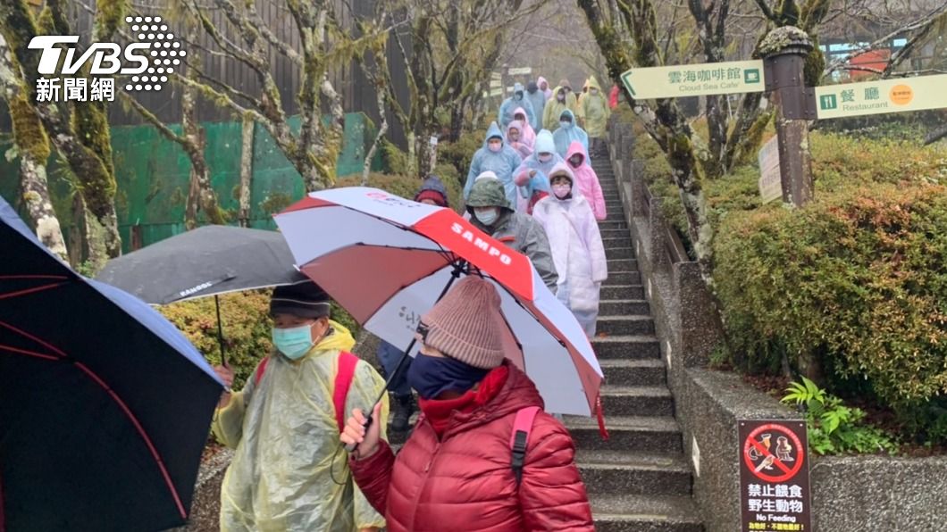 今天上午11時已有近1700名遊客進入太平山國家森林遊樂區。（圖／中央社）