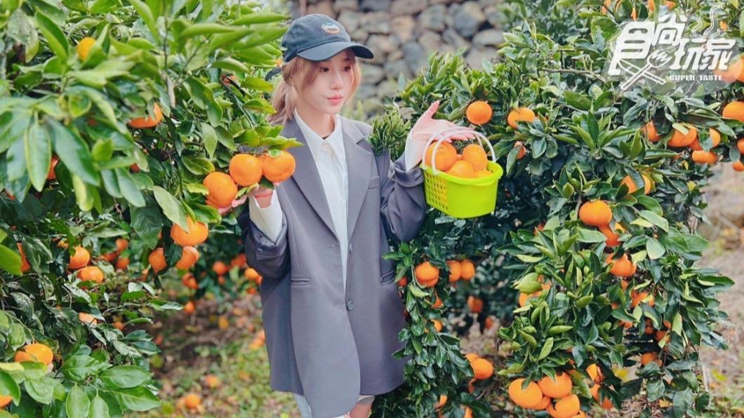 濟州島的千坪柑橘園。（圖／食尚玩家）