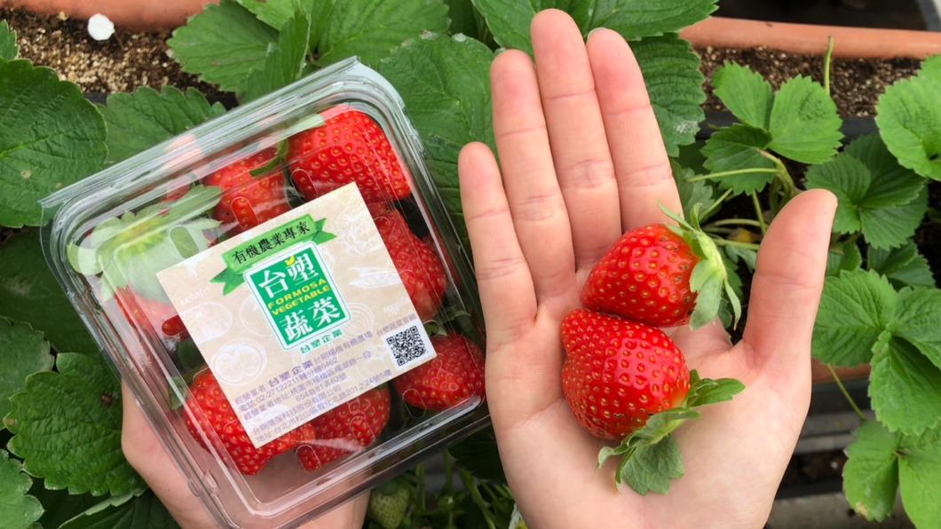 超商限定門市推出盒裝草莓。（圖／業者提供）
