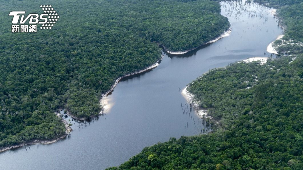 巴西的森林砍伐問題嚴重。（圖／達志影像美聯社）