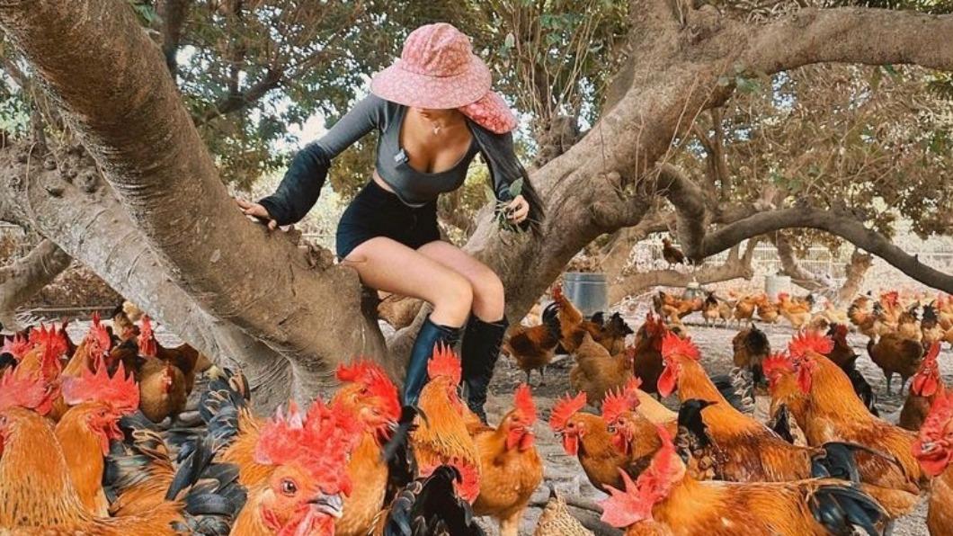 蘿拉到彰化土雞農場體驗一日雞農的工作。（圖／翻攝自蘿拉IG）