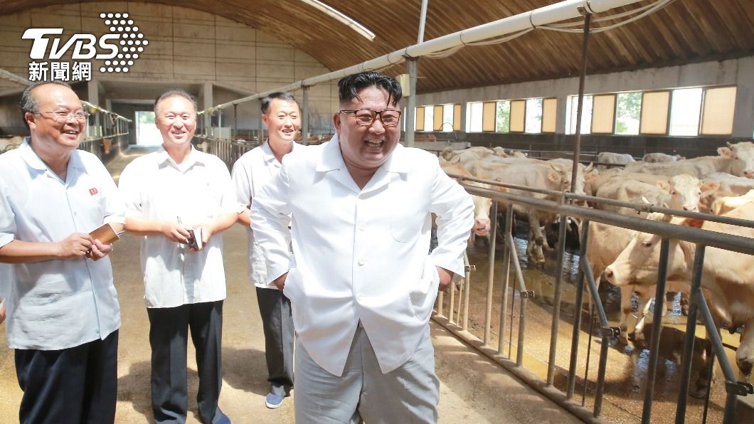 2022年收成欠佳，北韓農民只有約半年份的糧食可吃，政府卻還發飼料給牛吃。圖為北韓領導人金正恩視察農場。（圖／達志影像路透社）