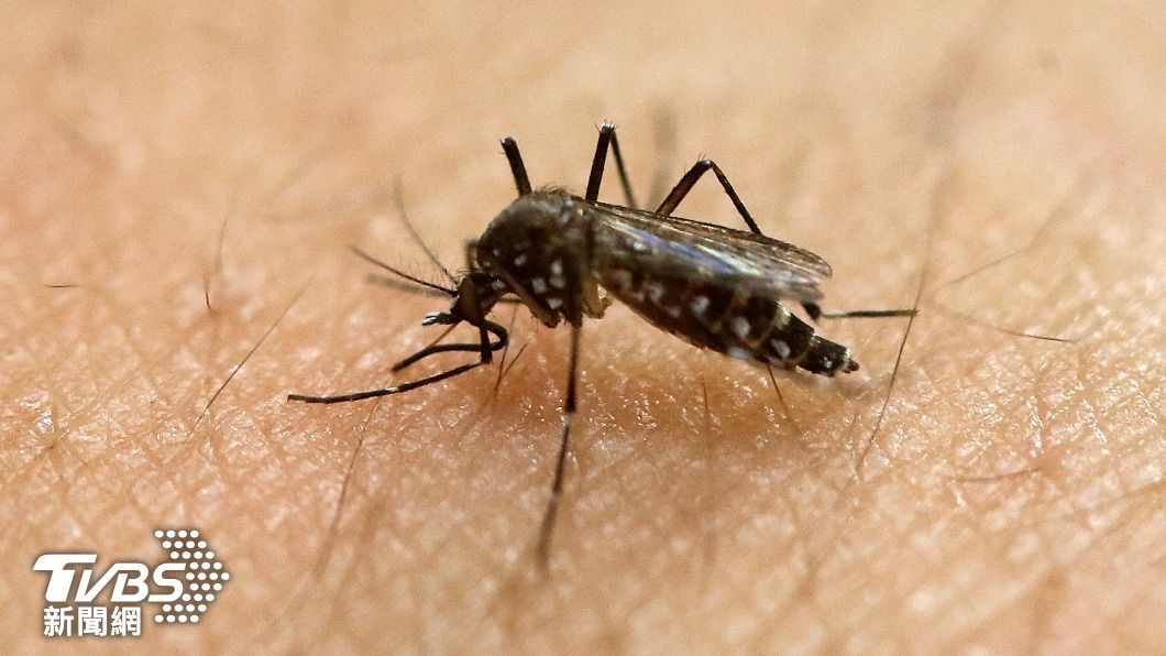 蚊子叮咬恐引起登革熱、茲卡病毒等多種疾病。（圖／達志影像美聯社）