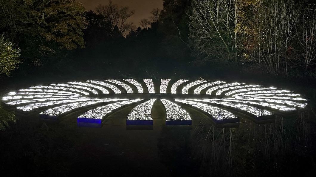 大倫敦地區植物園「邱園」展出的燈光藝術作品「幻象－洞」。（圖／有用主張提供）