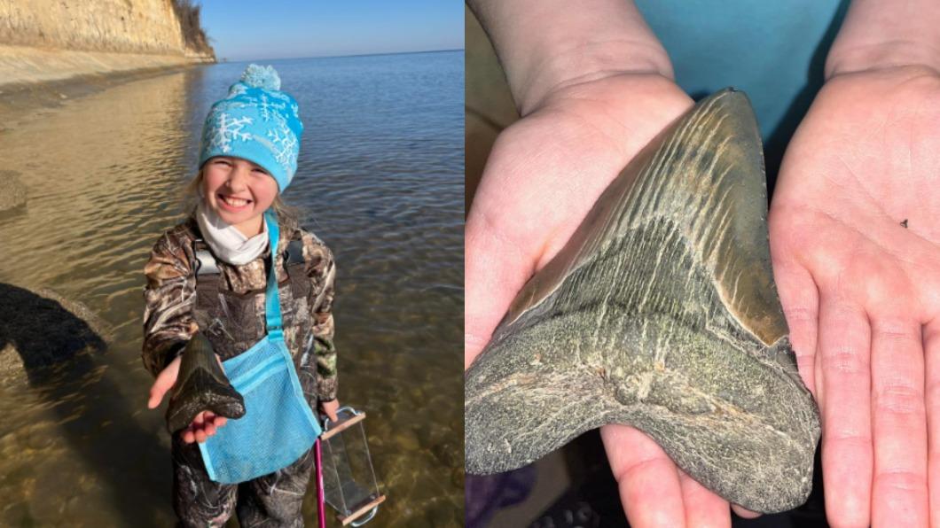 9歲女童撿到巨齒鯊牙齒化石。（圖／翻攝自Calvert Marine Museum Facebook）