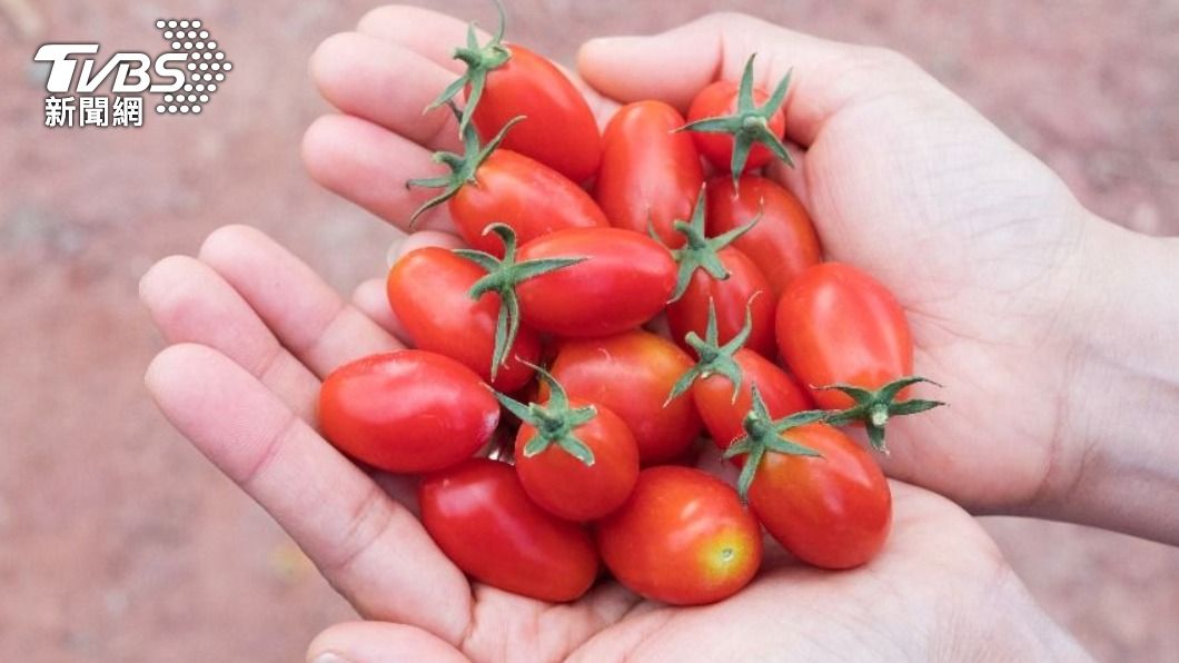 吃小番茄有4大好處。（示意圖／shutterstock 達志影像）