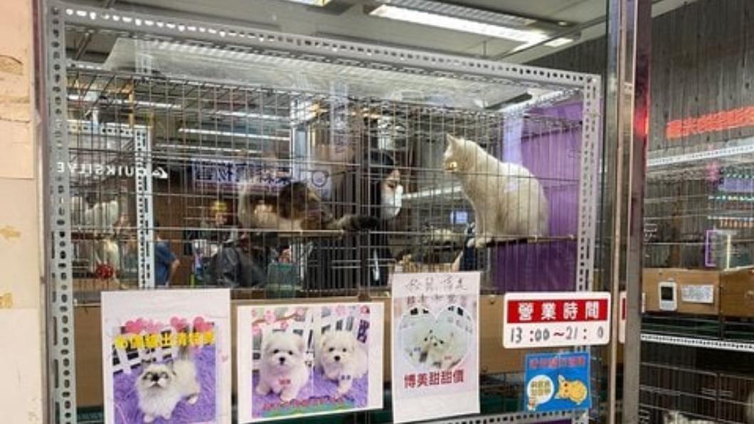 台北市士林區一間寵物店遭指控疑似虐待動物。（圖／民眾提供）
