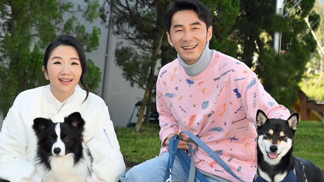 陶晶瑩、李李仁與家中2隻愛犬一起在節目合體。（圖／台視提供）