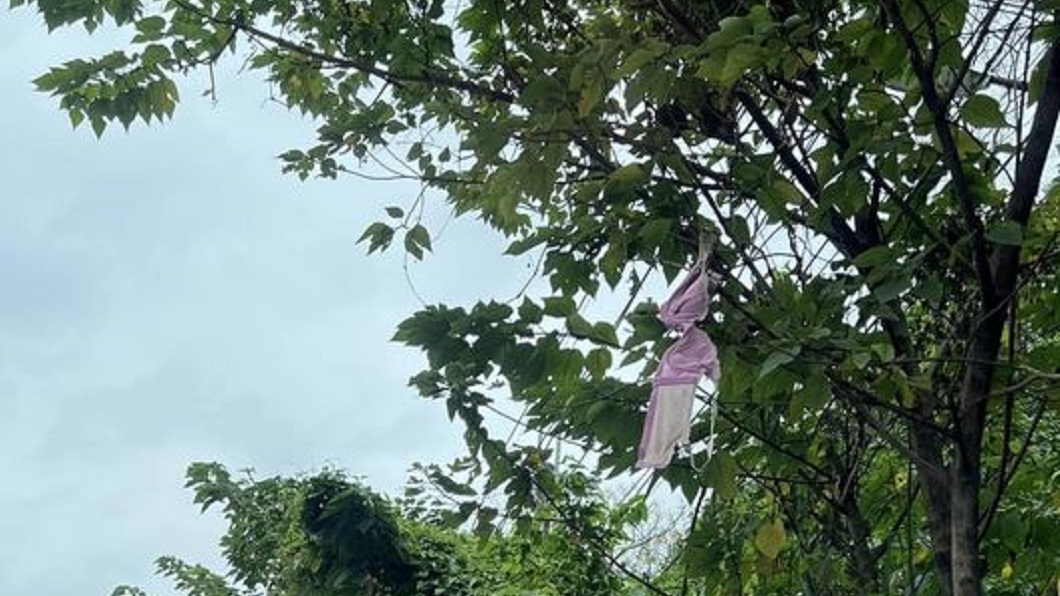 路邊樹上掛著一名粉色胸罩竟成了當地人報路的地標。（圖／翻攝自爆廢公社公開版）