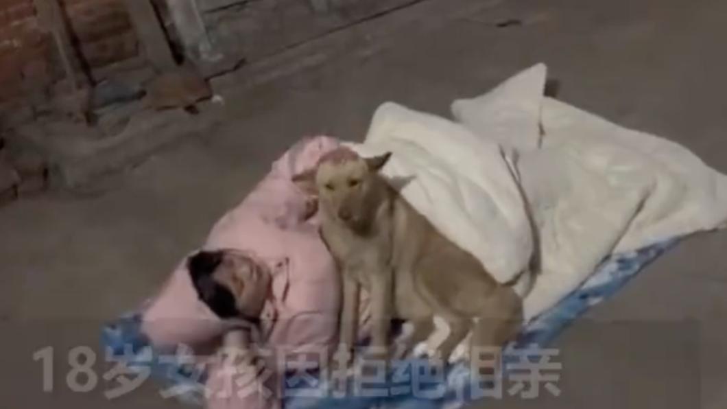 中國大陸河南省一名18歲少女，因拒絕家人的相親提議，竟被轟出家門陪狗睡。（圖／翻攝自微博）