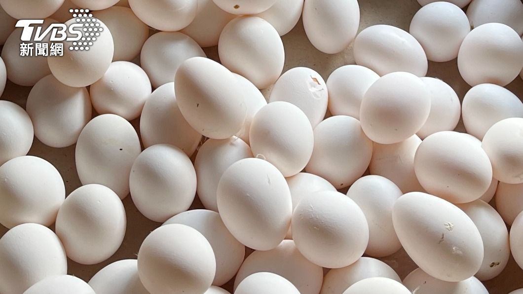 蛋雞換羽飼料價高，批發價漲至52元。（圖／中央社）