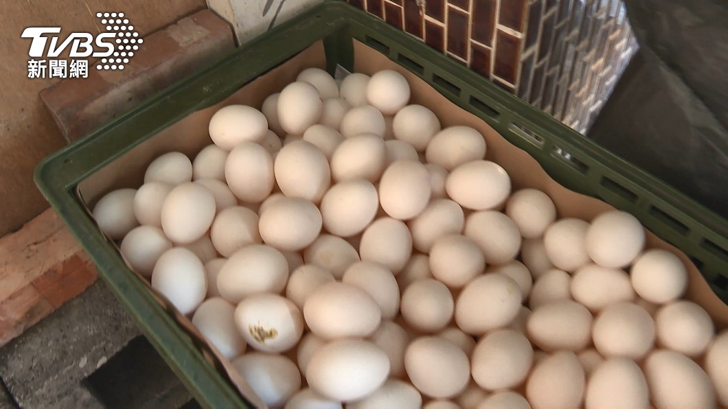 雞蛋批發價漲為55元，創歷史新高。（圖／TVBS）
