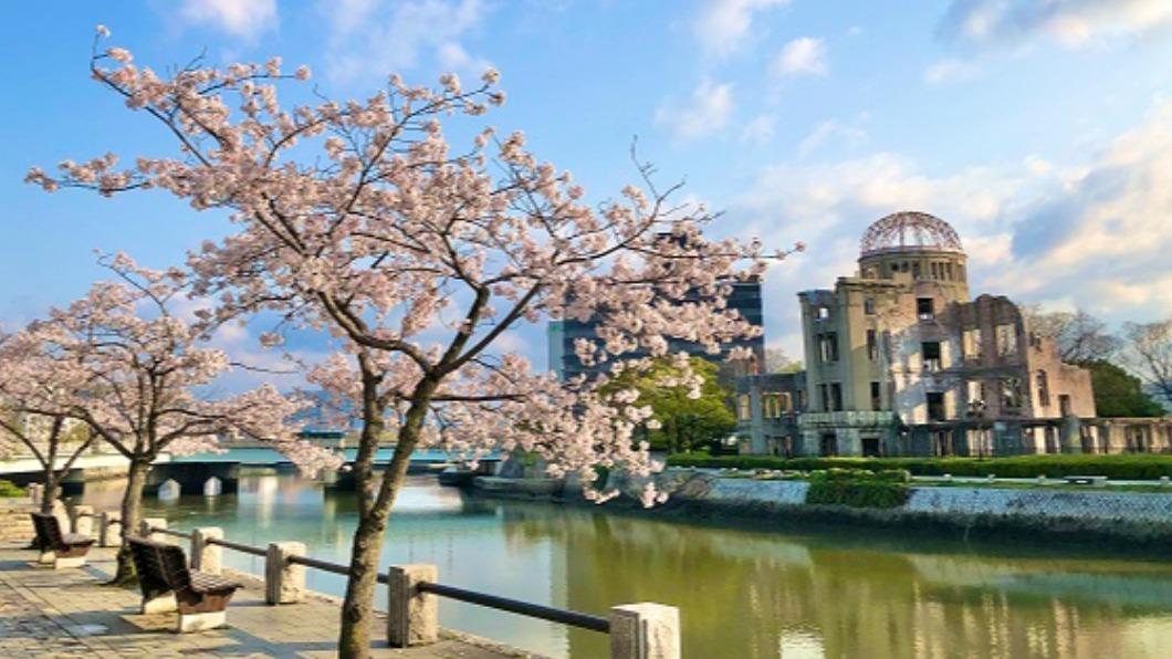 和平紀念公園的染井吉野櫻，會在春天沿著河堤綻放。( 圖 / HIT廣島縣觀光聯盟提供）