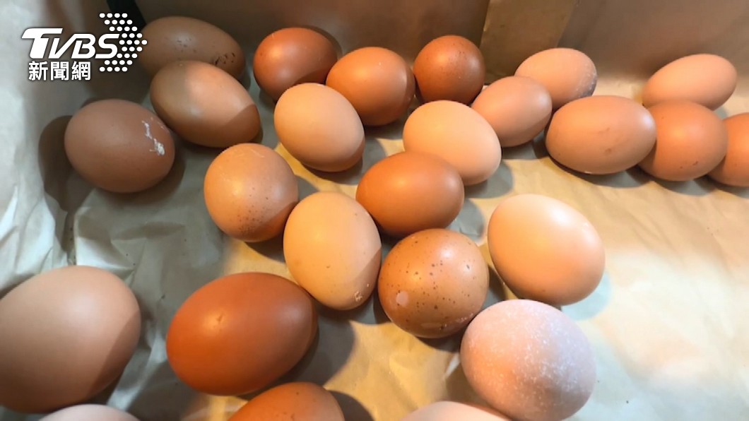 營養師分享，不吃蛋也能補充蛋白質。（圖／TVBS資料畫面）