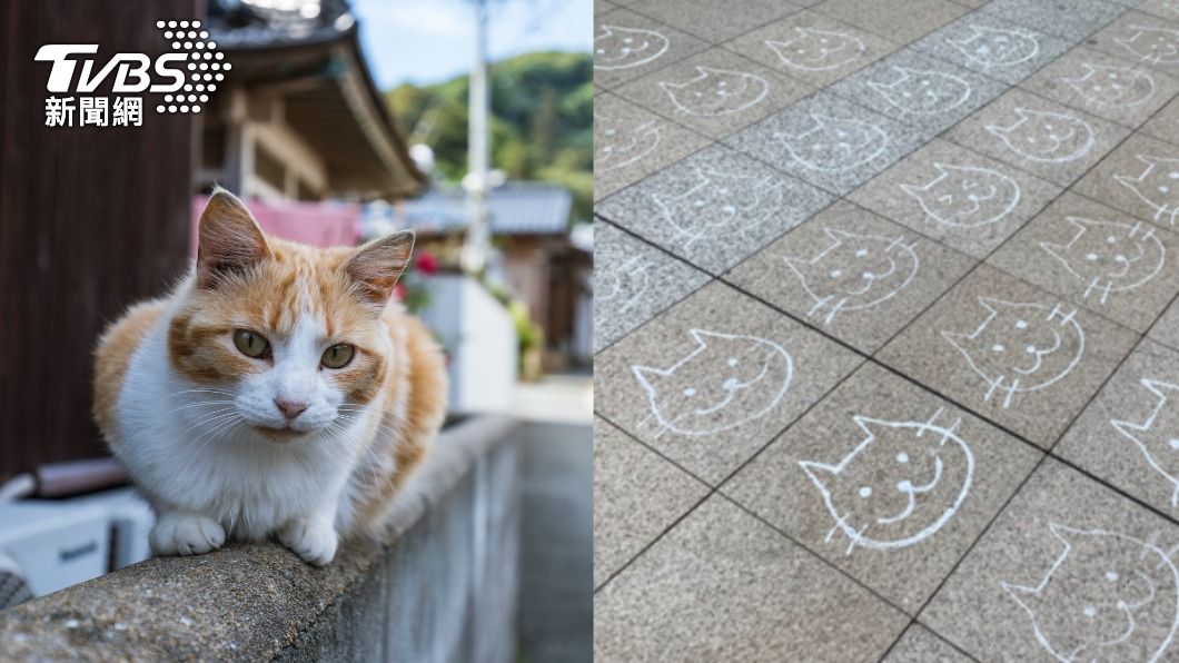 2月22日是日本貓之日，日暮里車站出現大量貓咪塗鴉。（圖／shutterstock 達志影像、翻攝自推特@funtokyo_jreast）