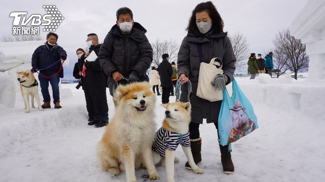 秋田縣湯澤市睽違2年重新舉辦犬子雪祭。（圖／葉韋辰攝）