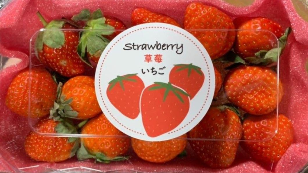 北市公布農業殘留名單，草莓違規最多。（圖／翻攝自台北市衛生局）