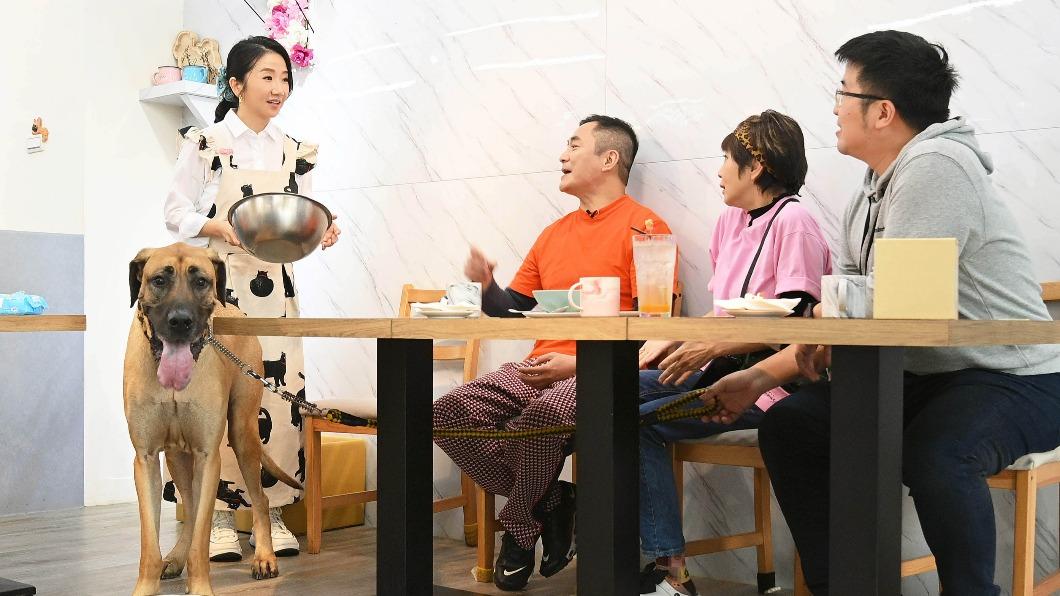 湯志偉（左2）帶著大丹狗上節目，自備鋼盆讓陶晶瑩備餐。（圖／台視提供）