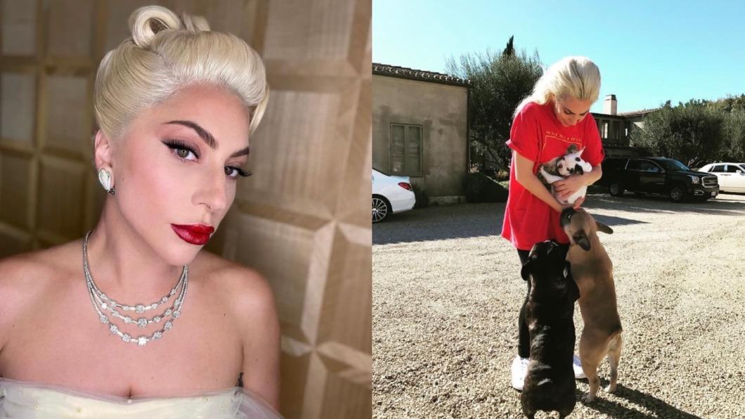 流行歌手女神卡卡的2隻愛犬在2021年被劫走。（圖／翻攝自女神卡卡IG）