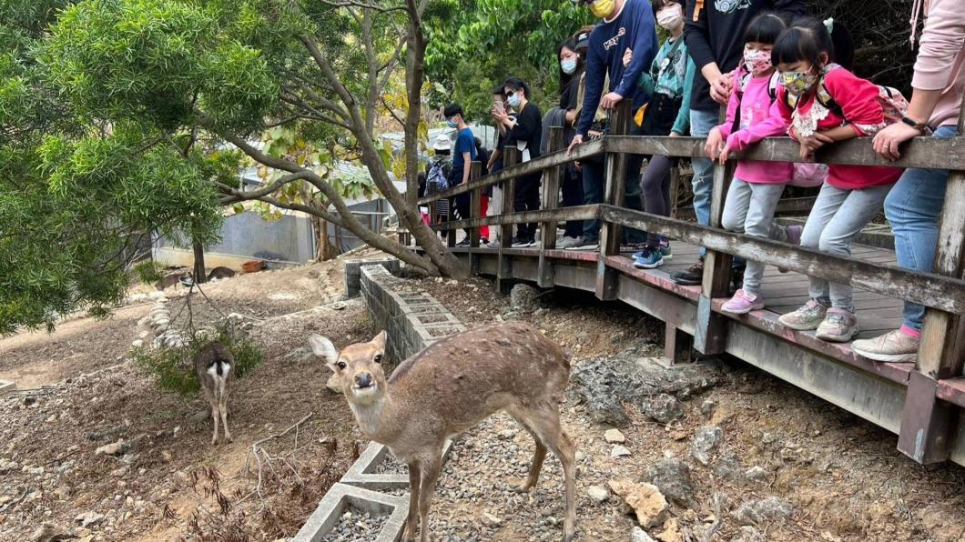 高雄兒童節連假，小朋友可免費到壽山動物園。（圖，非新聞當事人／壽山動物園提供）