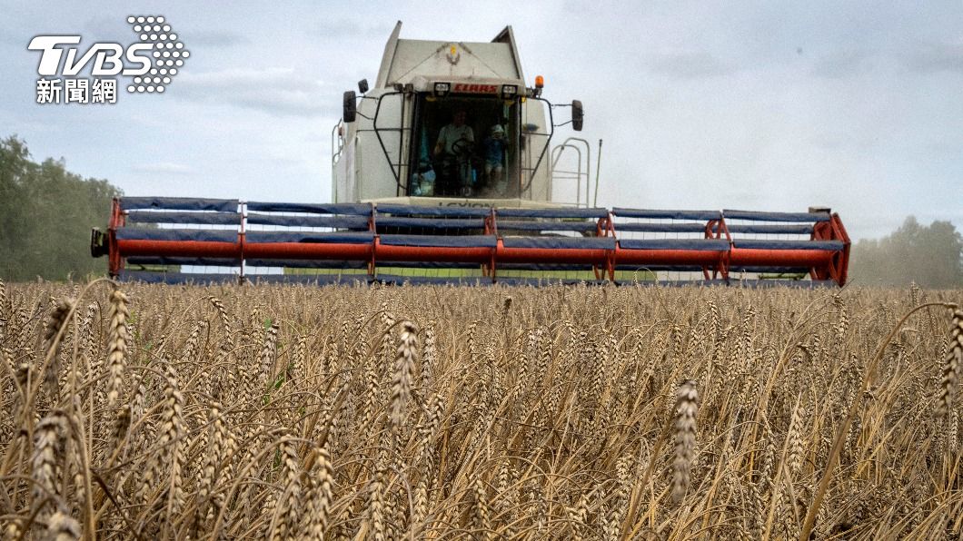 工人機具收割烏克蘭小麥，烏國外號「歐洲麵包籃」，耕地面積歐洲第一。（圖／達志影像美聯社）
