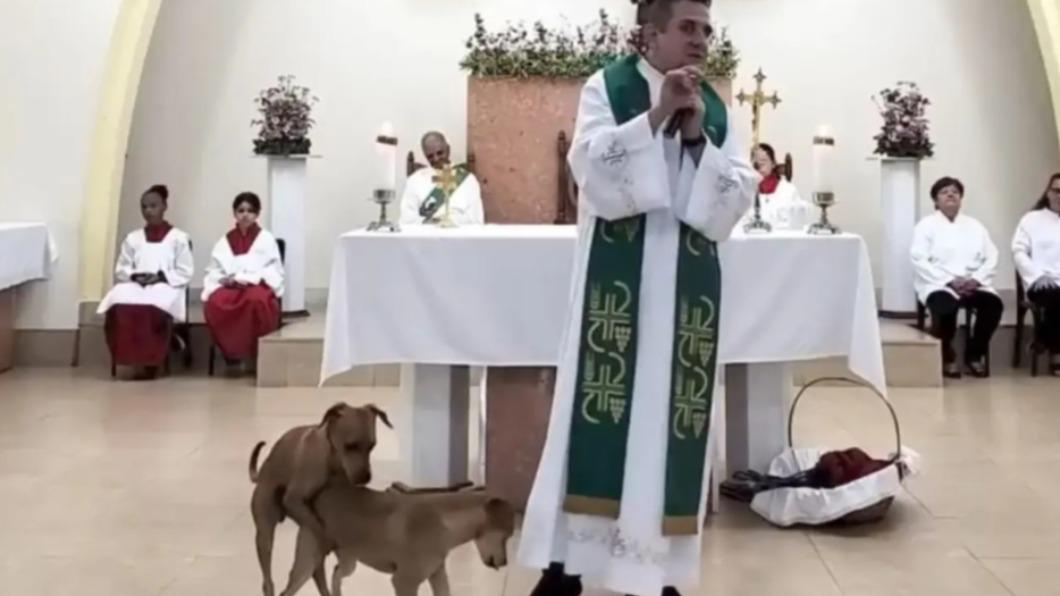 巴西聖麗塔教堂（Santa Rita Church）毛里西奧（Pierre Mauricio）神父佈道時，身邊突出現2隻狗上演「活春宮」。（圖／翻攝自《紐約郵報》）