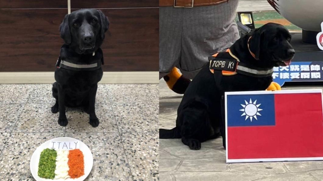 經典賽台灣迎戰義大利，台中警犬先吃「義大利披薩」。（圖／警方提供）