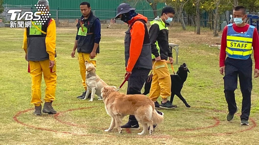 犬隻通過測試才能擔任搜救犬。（圖／消防署提供）