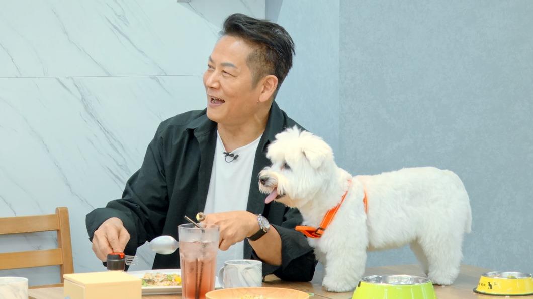 徐乃麟帶著愛犬波波到《哈囉！毛小孩》作客。（圖／台視提供）