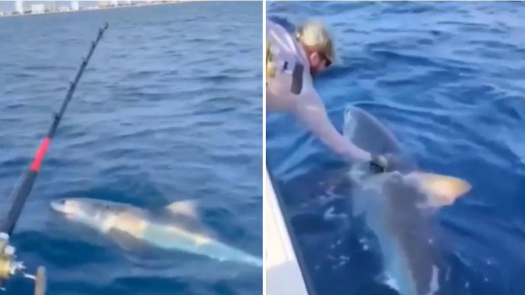 美國佛羅里達州有家庭竟然意外釣起一隻大白鯊。（圖／翻攝自推特）