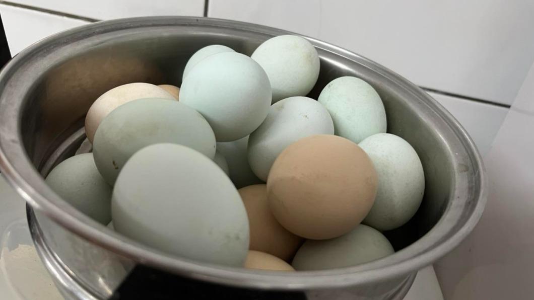 宜蘭員山民宿推出平日包棟入住就送20顆雞蛋的活動。（圖／翻攝自民宿粉專）