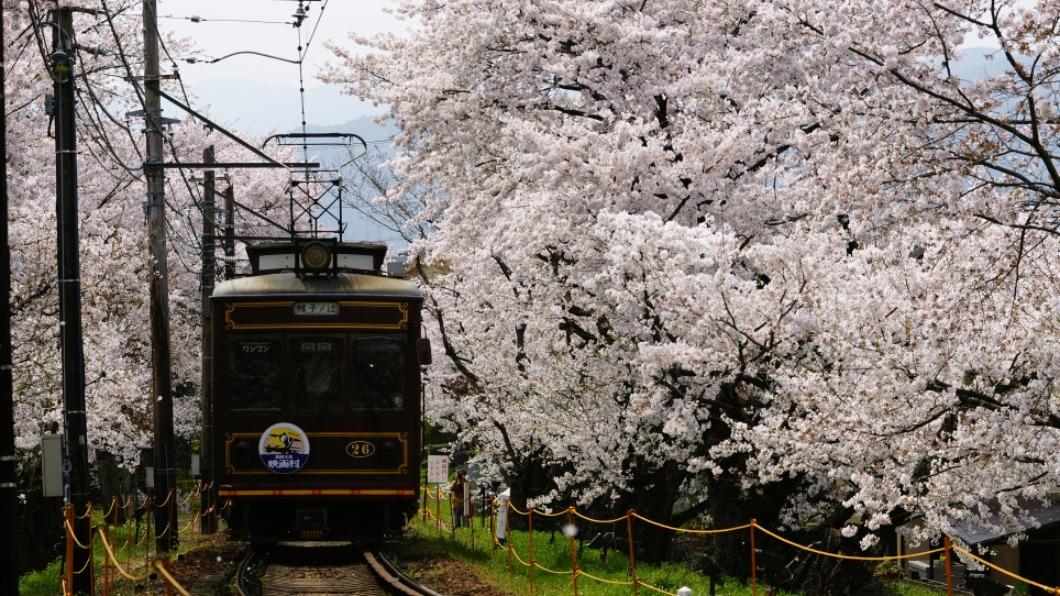 京福電鐵的嵐電，四月起車費微調。(圖 / 京都市台灣推廣事務所 提供)