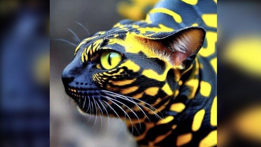 在網路社群上瘋傳的超稀有「蛇貓」照片。（圖／翻攝自推特）