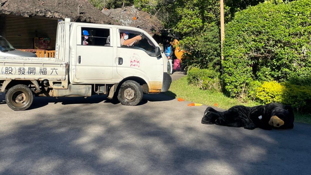 六福村曾進行台灣黑熊脫逃、圍捕演練。（圖／翻攝自六福村主題遊樂園臉書）