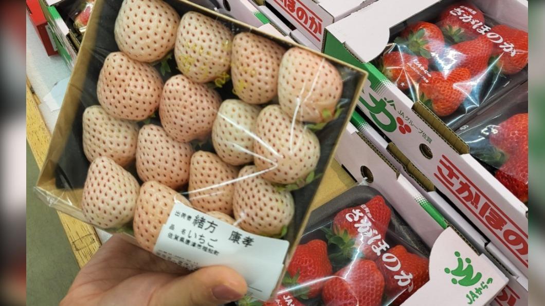 佐賀草莓嬌豔美味又平價，去玩必嘗。(圖 / TVBS )