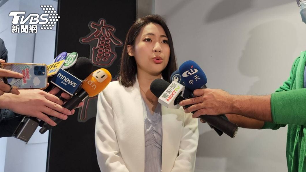 國民黨台北市議員徐巧芯將挑戰現任立委費鴻泰。（圖／TVBS）