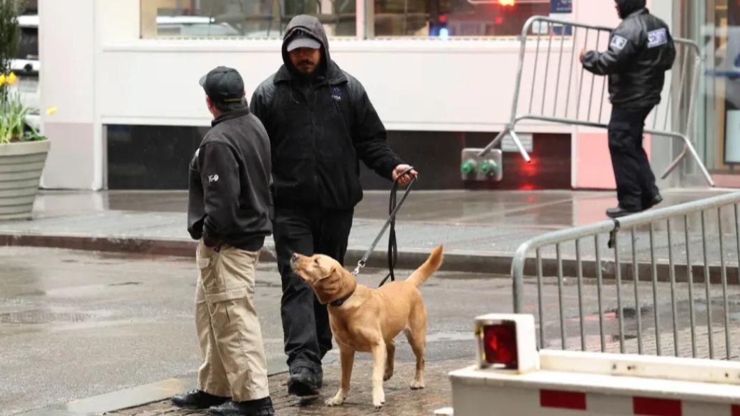 美國紐約證券交易所私人檢查站的偵爆犬，誤將「老鼠糞便」認成爆裂物。（圖／翻攝自《紐約郵報》）