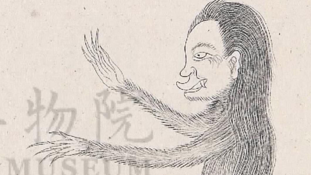 國立故宮博物院表示，在四庫全書寫本《本草綱目》裡，也有發現狒狒，甚至被稱為「人熊」。（圖／故宮提供）