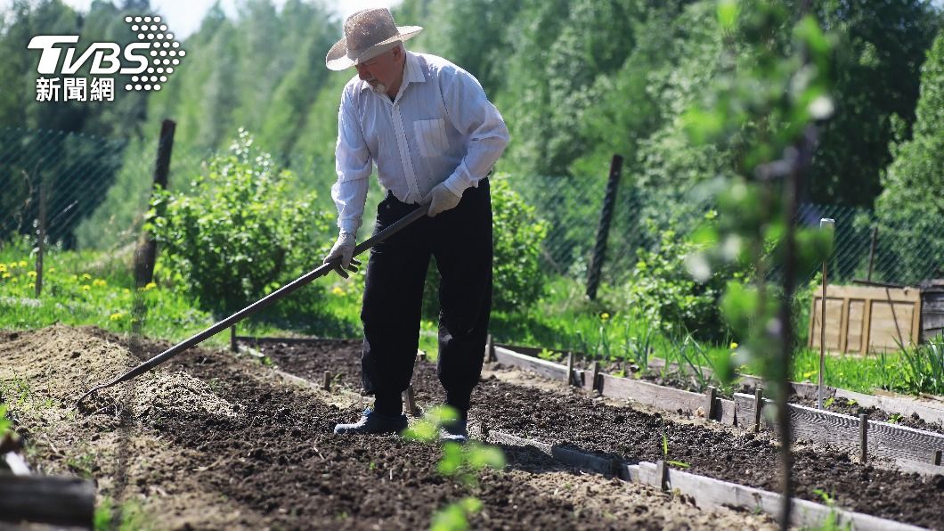 瑞典一名64歲老翁在自家後院整理花圃，竟感染「一戰時期」奪走無數士兵生命的「氣性壞疽」。（示意圖／shutterstock 達志影像）