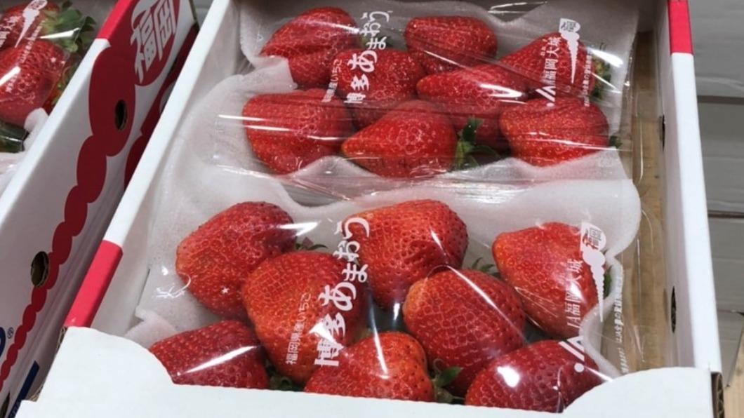 好市多內湖店的空運日本草莓，驗出殺蟲劑氟尼胺超標。（圖／北市衛生局提供）