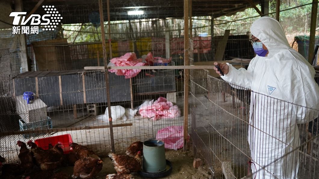 新竹縣新埔鎮一處養禽場發生禽流感。（圖／新竹縣政府提供）