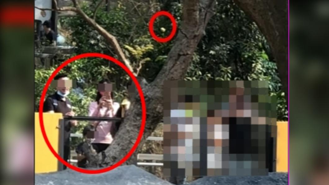 2小孩扔食餵猩猩，家長拍手＋錄影。（圖／翻攝自爆料公社）