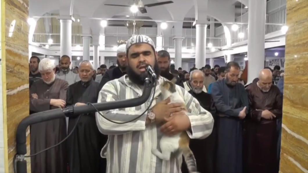 阿爾及利亞一處清真寺進行晚間齋戒禱告，搗亂的貓咪讓影片爆紅。（圖／翻攝自Dahmane Sadki page粉專）
