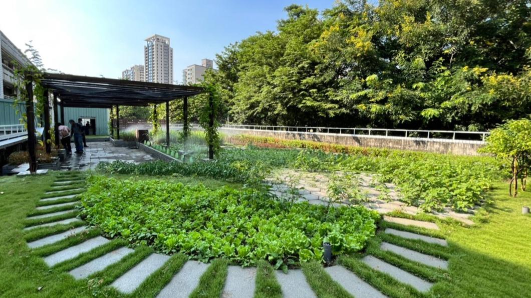 高市立體綠化屋頂花園補助受理申請。（圖／高雄市工務局提供）