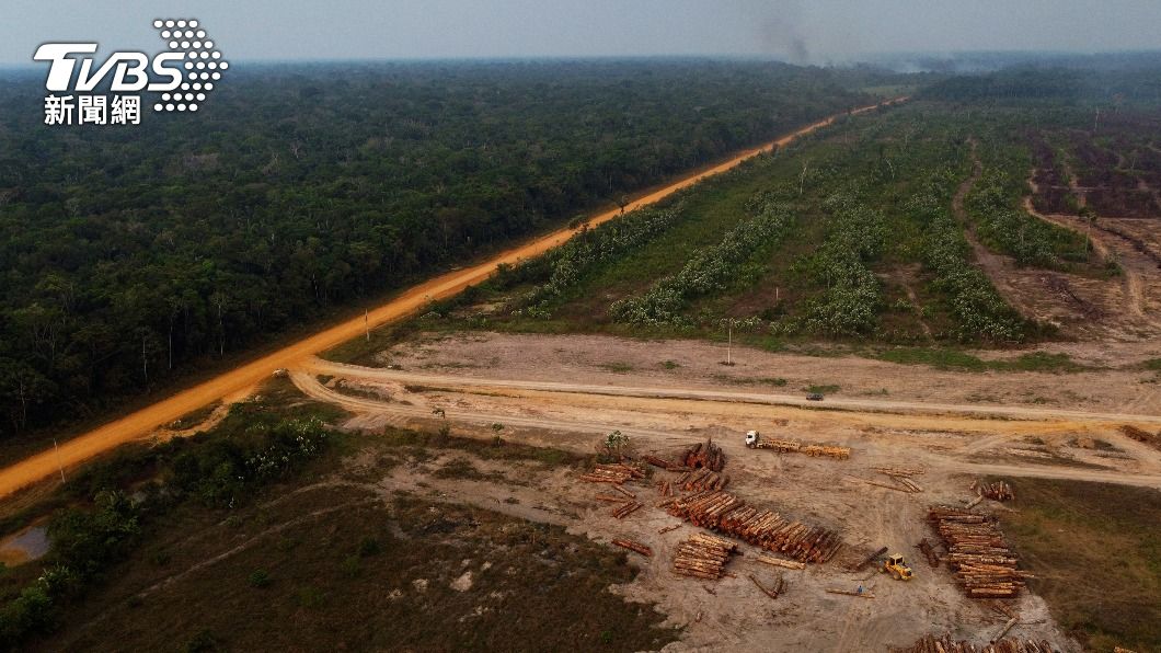 巴西亞馬遜雨林砍伐情況仍然嚴重。（圖／達志影像美聯社）