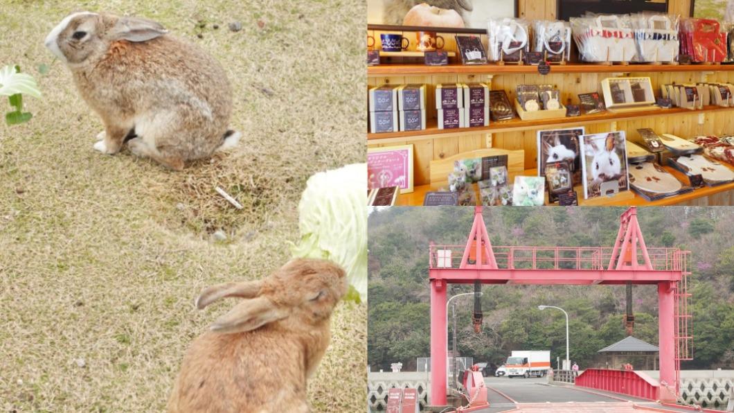 位於日本廣島的兔子島，些引許多遊客。（圖／食尚玩家提供）